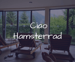 Aus dem Hamsterrad aussteigen – Jetzt ist deine Zeit